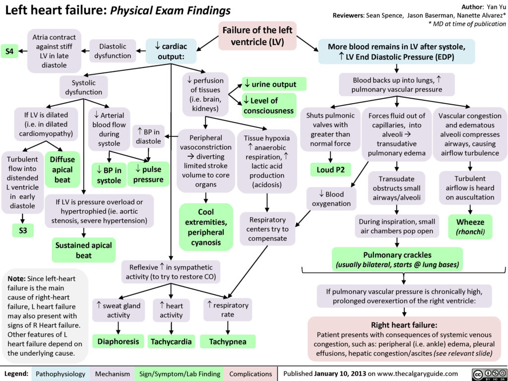 Left heart failure physical examination findings 