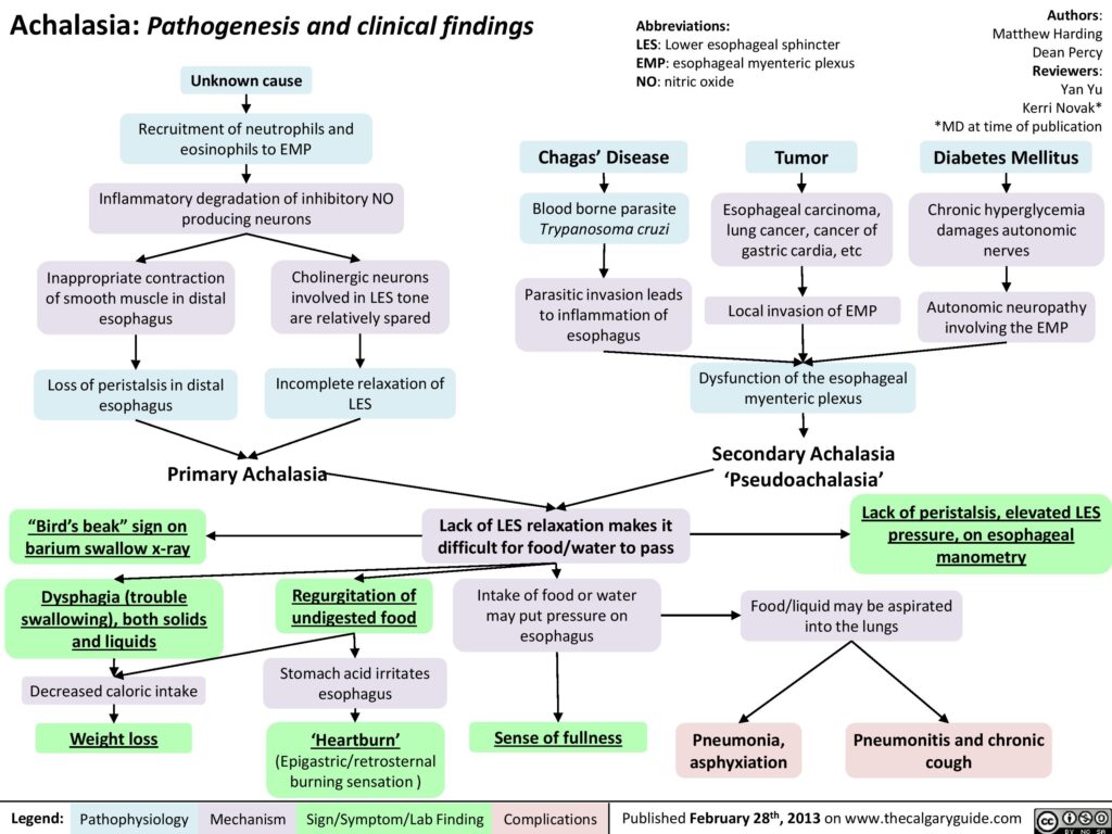 Achalasia pathogenesis and clinical findings