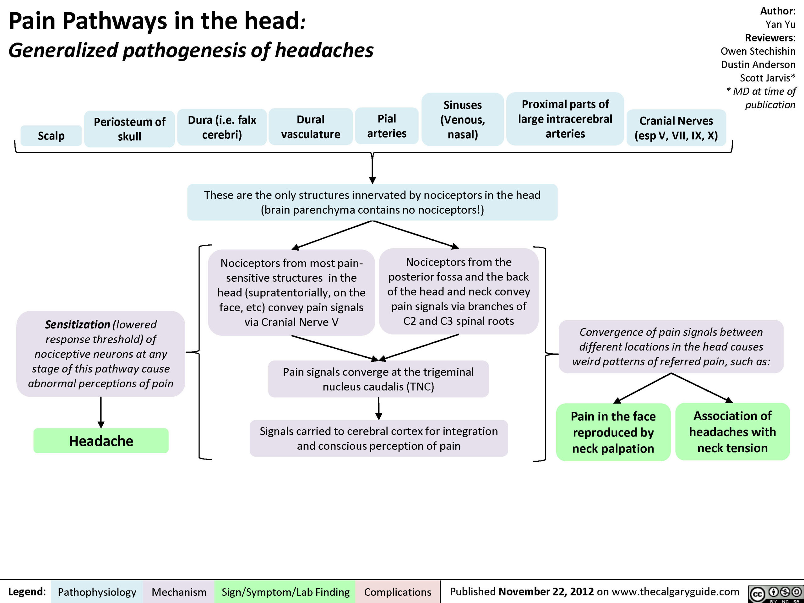 Pain pathways in the head