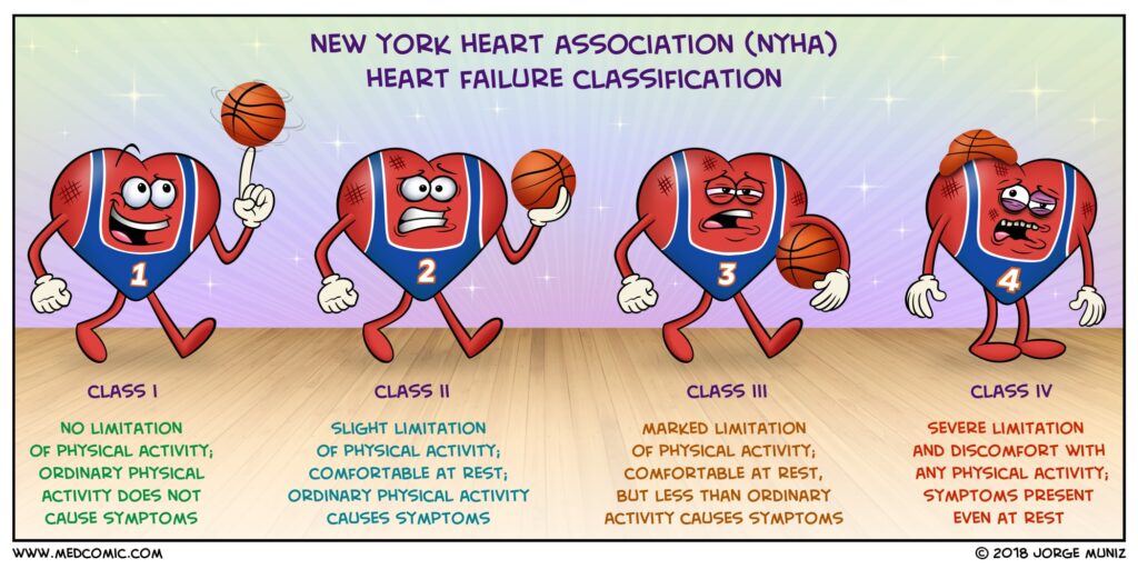 The New York Heart Association (NYHA) functional classification