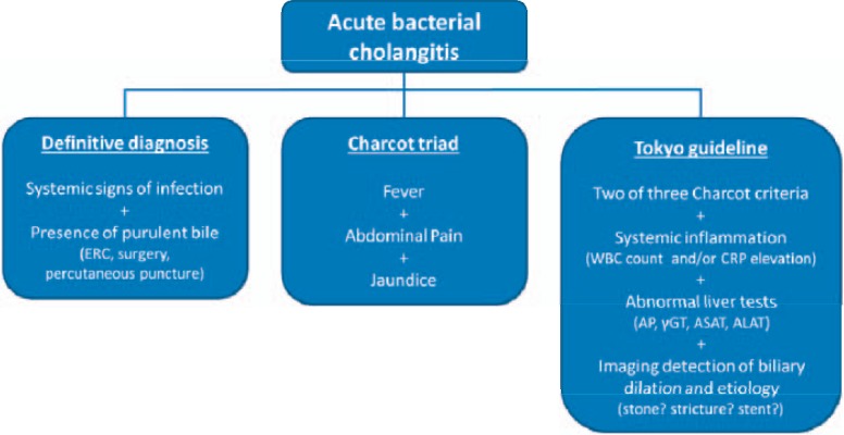 Diagnostic algorithm in acute bacterial cholangitis