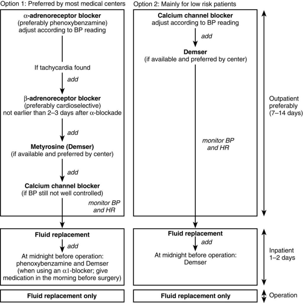 Current recommended preoperative treatment algorithms in patients with pheochromocytoma