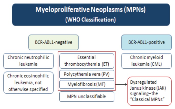 Overview of the MPNs