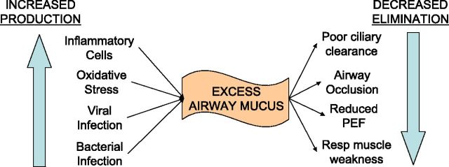 Causes of excessive mucus in COPD