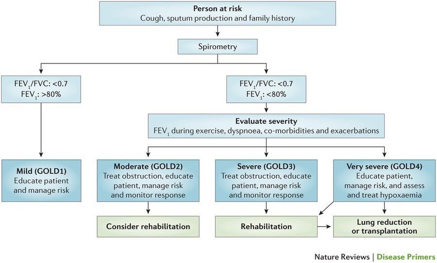 Algorithm for the diagnosis, staging and management programme for COPD