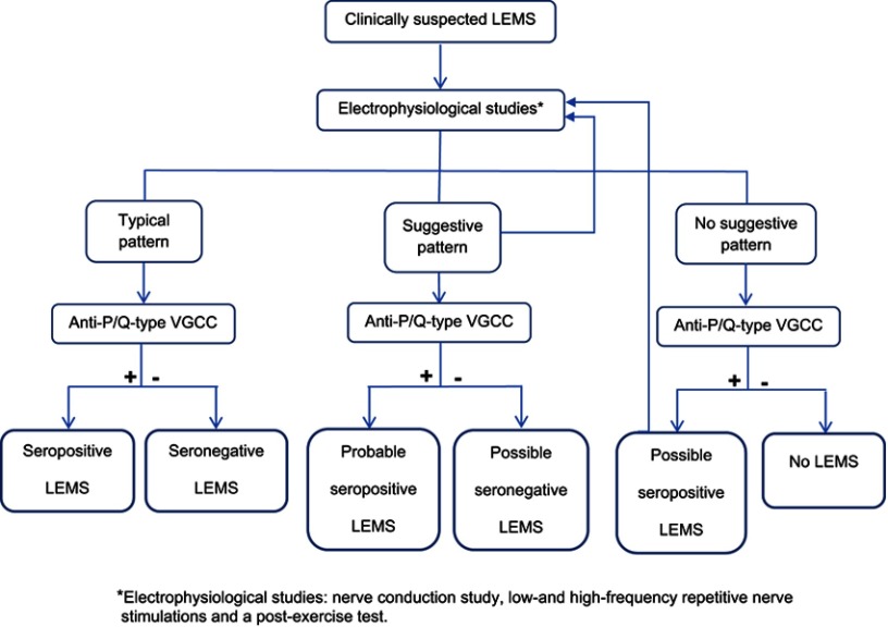 Diagnostic algorithm for clinically suspected LEMS