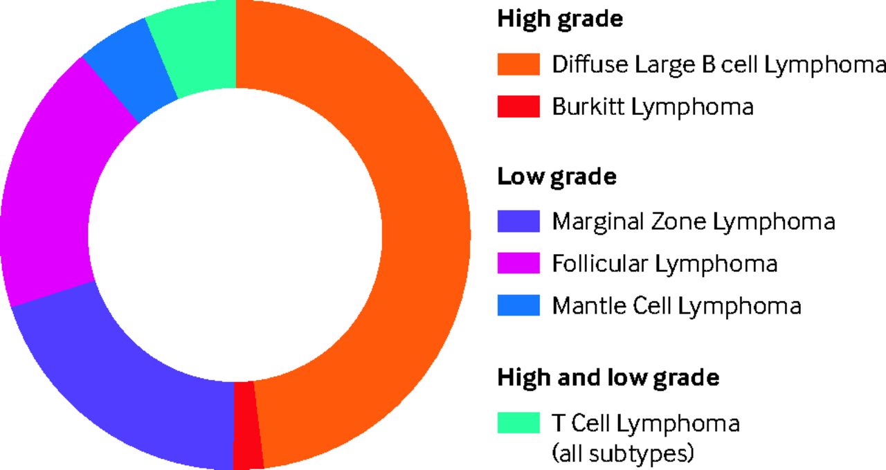 Non-Hodgkin's lymphoma subtypes and their incidence