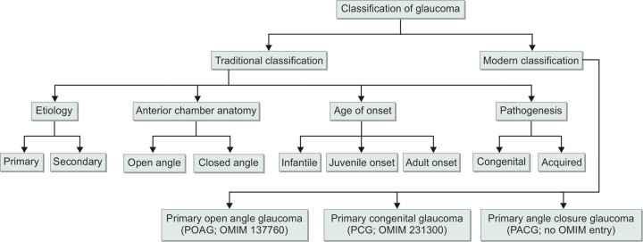 General classification of glaucoma