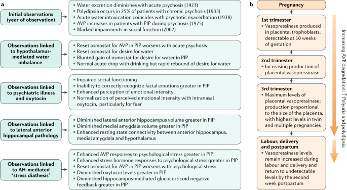 Models of pathogenesis in primary polydipsia in schizophrenia and gestational DI