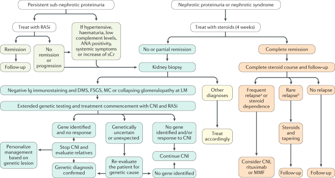 Diagnosis and management of paediatric patients with proteinuria or nephrotic syndrome