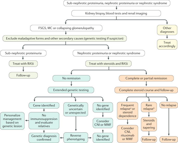 Diagnosis and management of adults with proteinuria or nephrotic syndrome