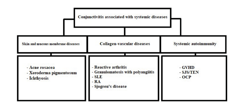 Some systemic and dermatological conditions associated with conjunctivitis.