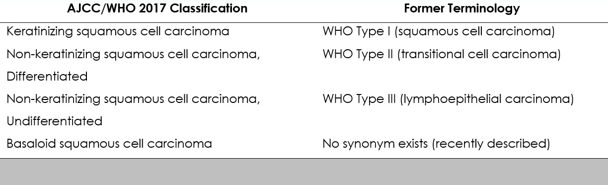 Classification of tumors according to the 8th edition of the AJCC staging manual