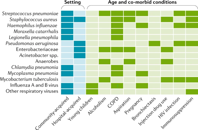 Common respiratory pathogens in ARDS and associated demographic features and comorbidities.