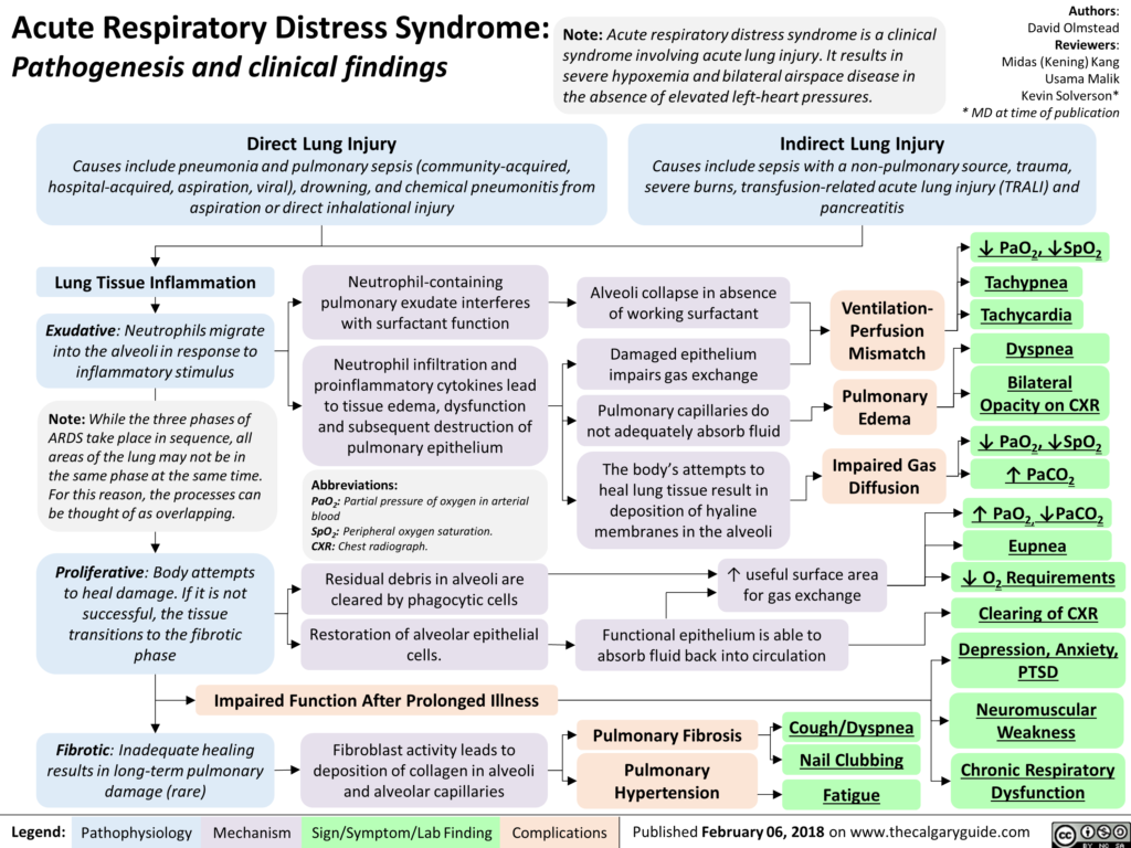 Acute Respiratory Distress Syndrome Pathogenesis and clinical findings
