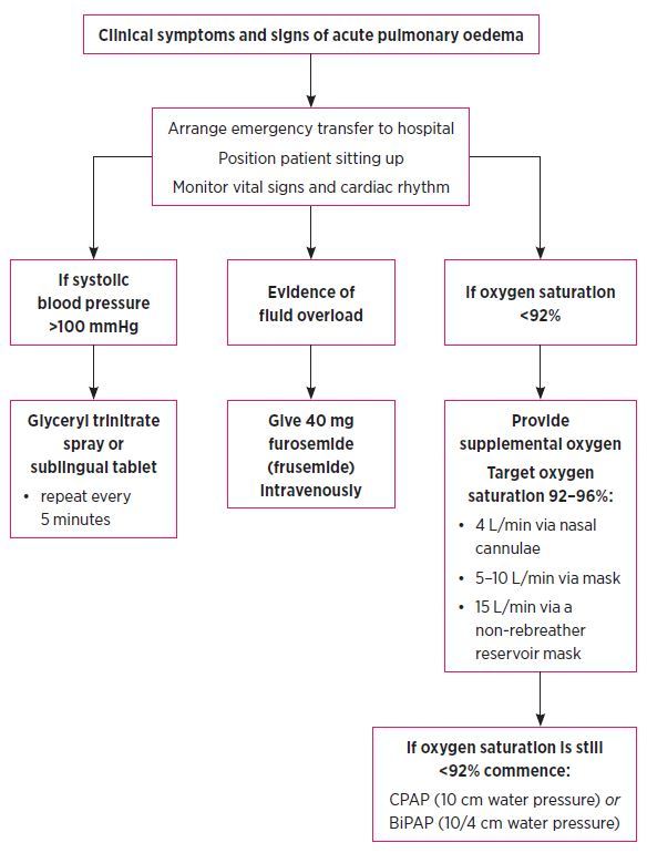 Working algorithm for the management of acute pulmonary oedema in the pre-hospital setting